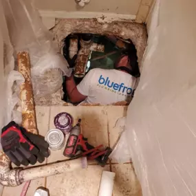 Bild von bluefrog Plumbing and Drain of North Phoenix