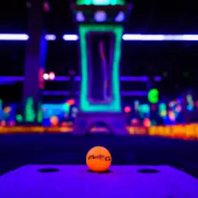 Bild von Monster Mini Golf Dunedin