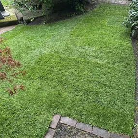 Bild von Garten und Hausbetreuung