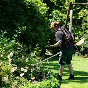 Bild von Garten und Hausbetreuung