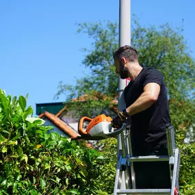 Bild von Garten und Hausbetreuung