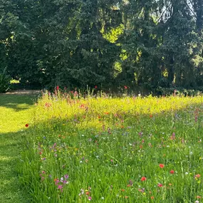 Bild von Garten und Hausbetreuung