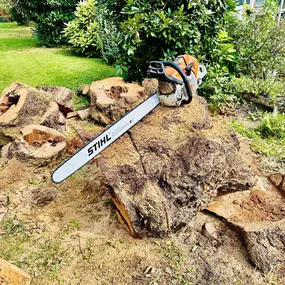 Bild von Garten und Hausbetreuung