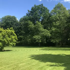 Bild von Garten und Hausbetreuung