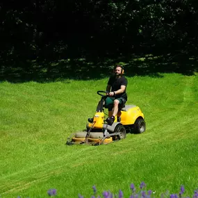 Bild von Garten und Hausbetreuung