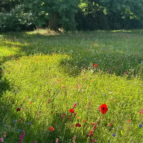 Bild von Garten und Hausbetreuung