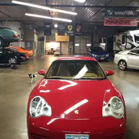 Bild von Dr. Phil's Car Club