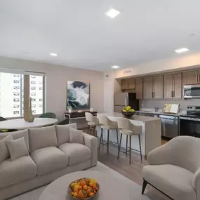 Kitchen and Living Room