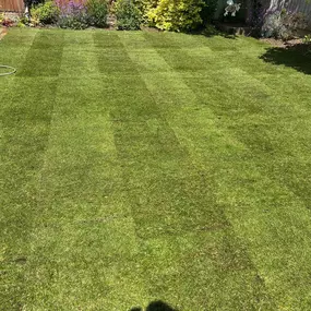 Bild von Moorlands Lawn Care