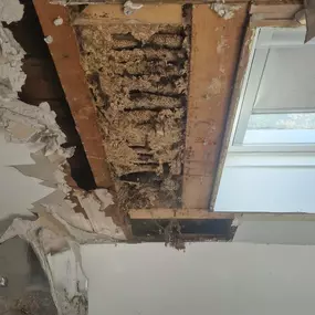 Bild von Whole House Insulation Ltd