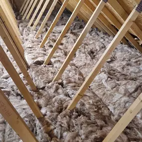 Bild von Whole House Insulation Ltd