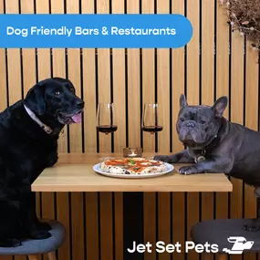 Bild von Jet Set Pets