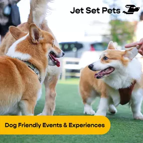 Bild von Jet Set Pets