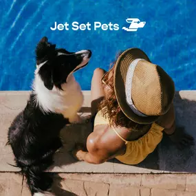 Bild von Jet Set Pets