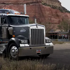 Bild von Teresa P. Williams | Personal Injury Lawyer in Clearwater