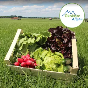 Bild von Bio-Lieferdienst Ökokiste Allgäu GmbH