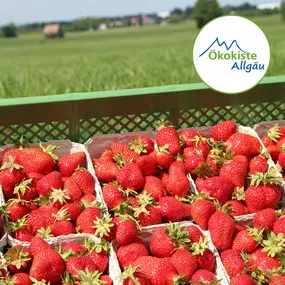 Bild von Bio-Lieferdienst Ökokiste Allgäu GmbH