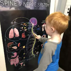 Bild von Restructured Chiropractic