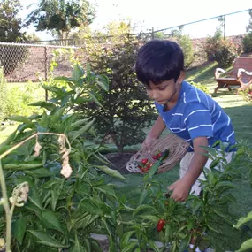 Bild von Montessori Kids Academy