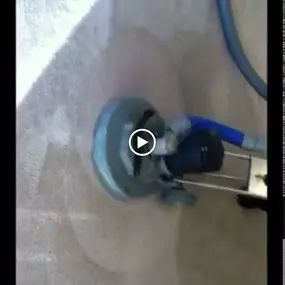 Bild von Carter's Carpet Restoration El Dorado Hills