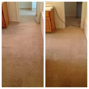 Bild von Carter's Carpet Restoration El Dorado Hills