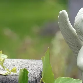 Bild von Brigitte u. Karl Hetterling GmbH Bestattungsinstitut