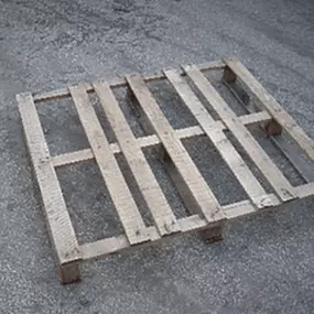 Bild von Pallexnet