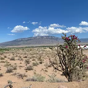 Our facility is located in the beautiful Albuquerque, NM