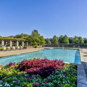 Resort-style swimming pool on a sunny day