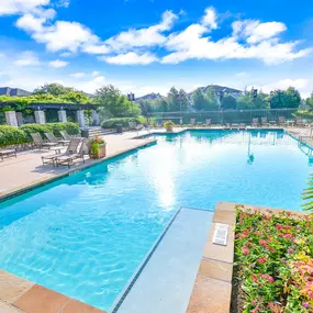 Resort-style lap pool with lounge chairs and greenery surrounding it