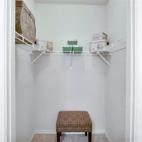 Huge walk in closet