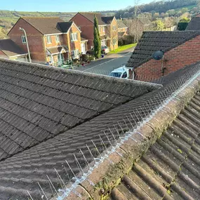 Bild von Abbott & Son Roofline Ltd