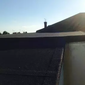 Bild von Moss Roofing