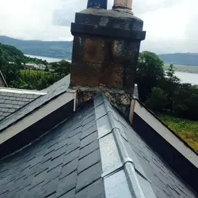 Bild von Moss Roofing