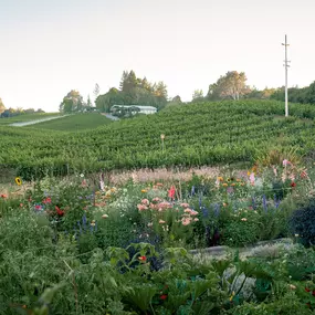 Bild von Lynmar Estate Winery