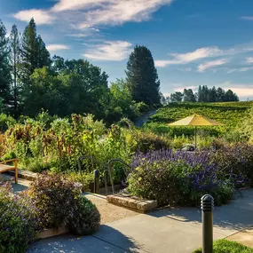 Bild von Lynmar Estate Winery