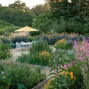 Bild von Lynmar Estate Winery