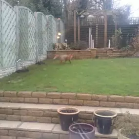 Bild von C.Power Wash