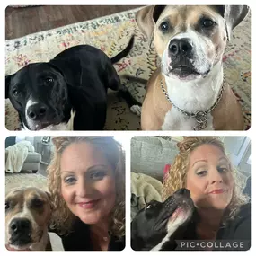 Happy National Love Your Pet Day! At Ann Smith State Farm, we know that pets are part of the family. Share a photo of your beloved companion in the comments—we’d love to see your furry friends and hear their stories!