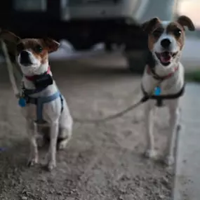 Bild von TNT RV Park