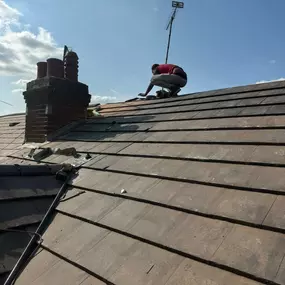 Bild von Lifetime Roofing