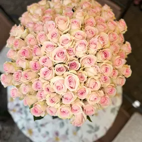 Bild von Blumen Böhmer, Gärtnerei