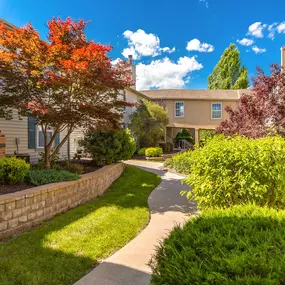 A tree with orange leaves is in front of a building.