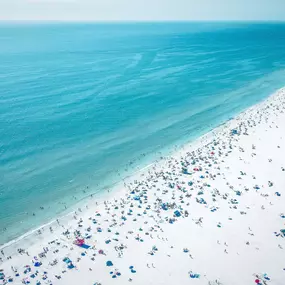 Bild von Local Life Homes | Sarasota