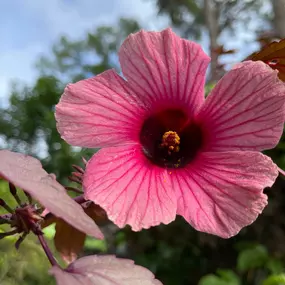 Bild von Local Life Homes | Sarasota