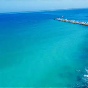 Bild von Local Life Homes | Sarasota