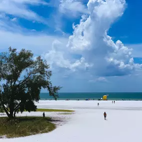 Bild von Local Life Homes | Sarasota