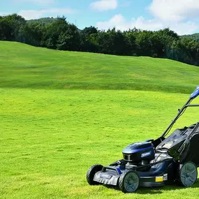 Bild von Wild Badger Power