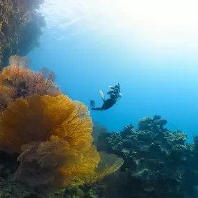 Bild von digitalONE V2