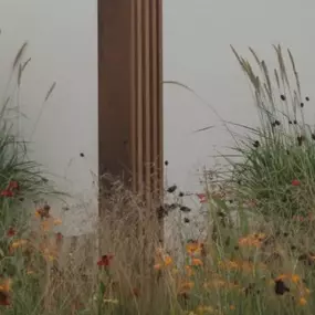Bild von Amanda Patton Landscape & Garden Design